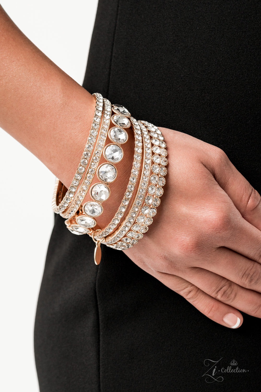 Paparazzi Accessories and Future Fashionista