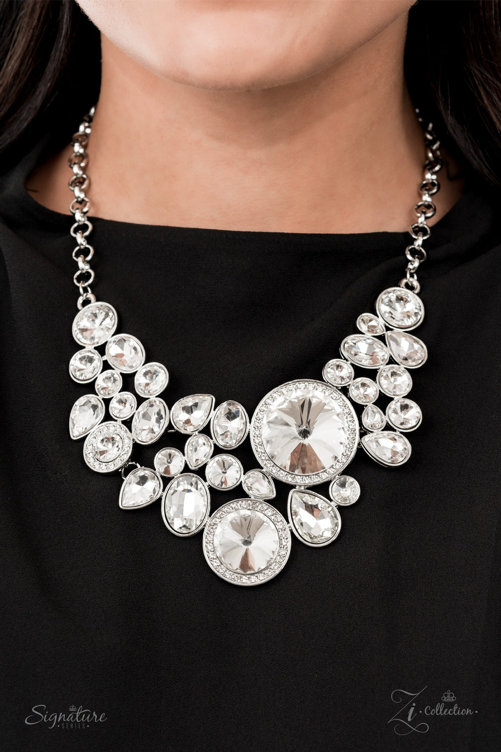 Paparazzi Accessories The Danielle Zi Collection Set