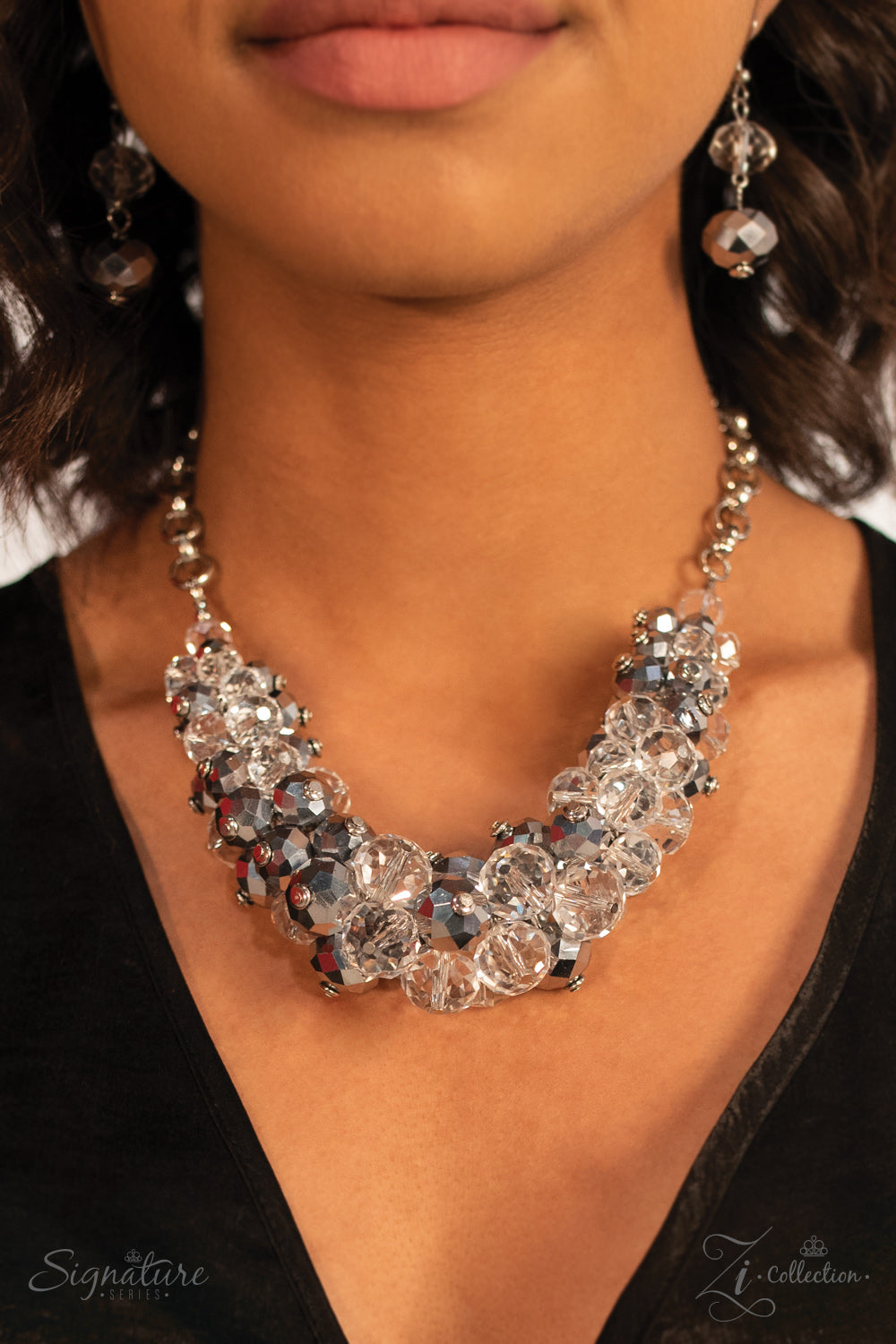 Paparazzi Accessories The Erika Zi Collection Necklaces - Lady T Accessories