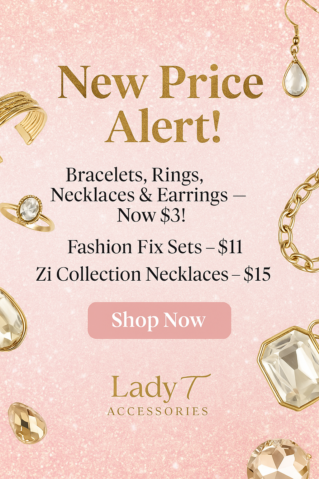 Lady T Accessories