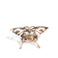 Paparazzi Accessories - Majestic Moth - Gold Ring