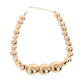 Paparazzi Accessories - Reflective Roar - Gold Necklaces